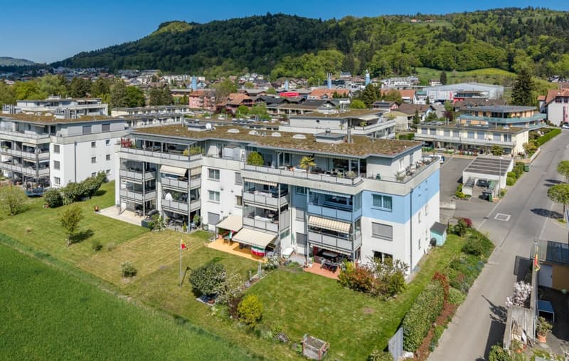 Apartment with Alpine view for sale (1)