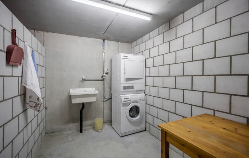 Apartment with Alpine view for sale (12)