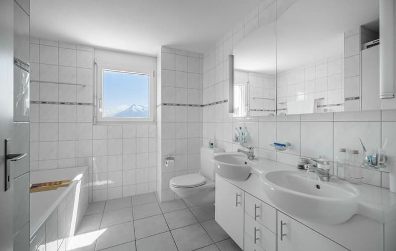 Apartment with Alpine view for sale (8)