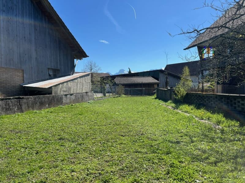 Interesting multi-family house for sale (5)
