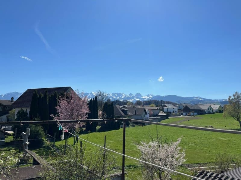 Interesting multi-family house for sale (12)