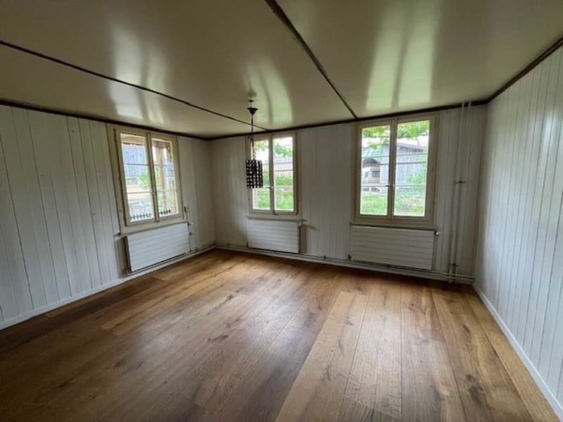 Interesting multi-family house for sale (8)