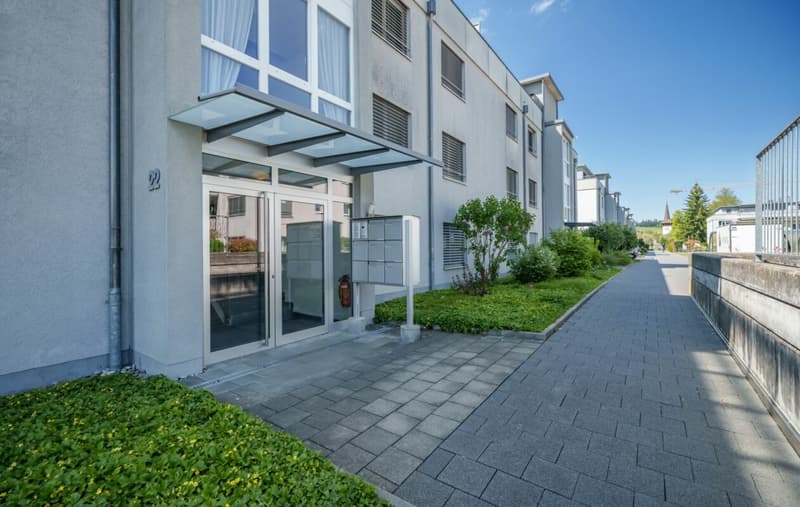 Special apartment with Alpine view for sale (11)