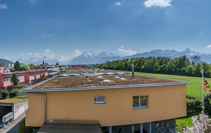 Special apartment with Alpine view for sale (2)