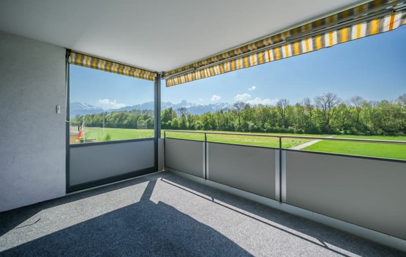 Special apartment with Alpine view for sale (3)