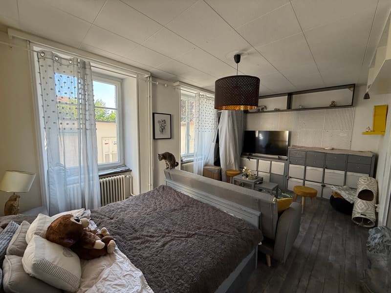 Living in the city without compromise (11)