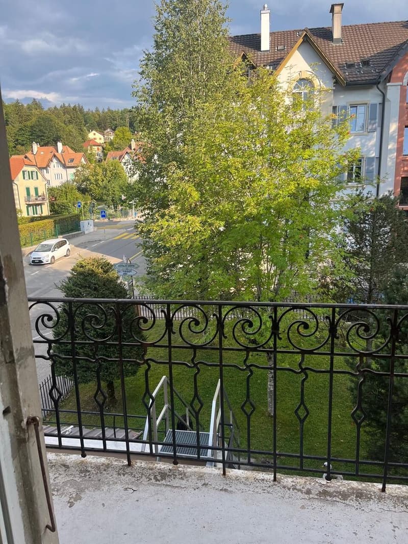 Appartement rénové de 3 pces avec garage et balcon (1)