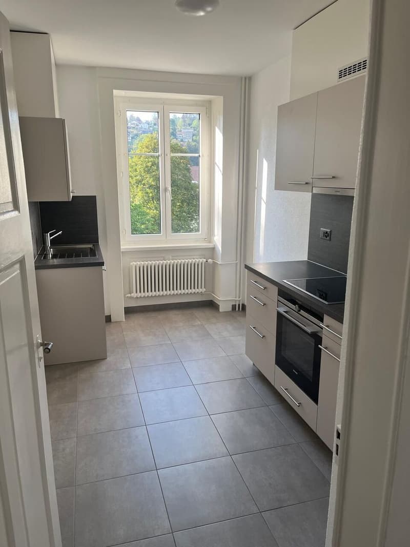 Appartement rénové de 3 pces avec garage et balcon (2)