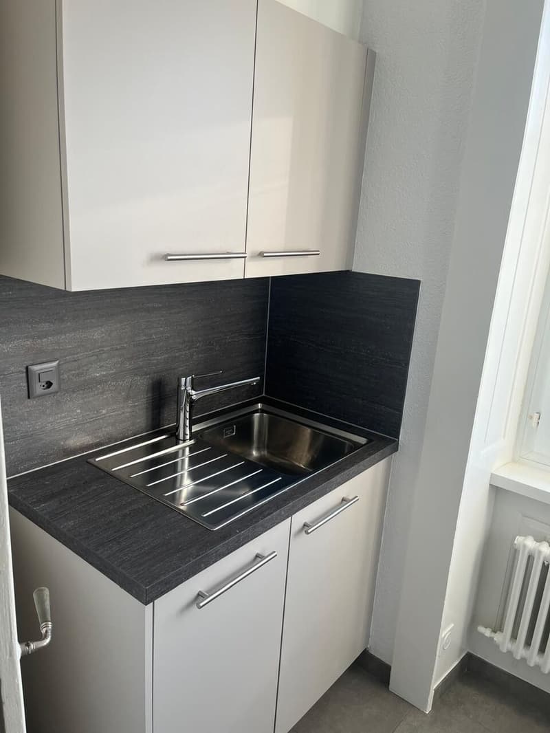 Appartement rénové de 3 pces avec garage et balcon (3)