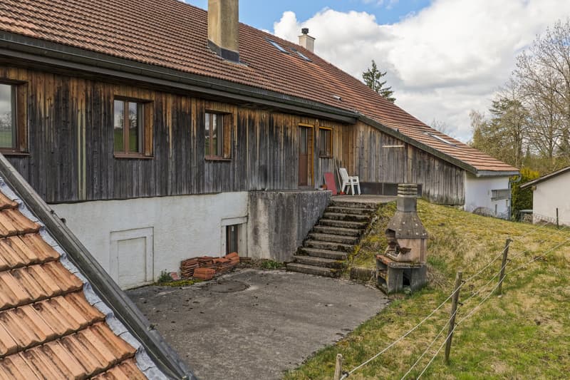 Entre chevaux et horizon urbain, la ferme que vous attendiez... (2)