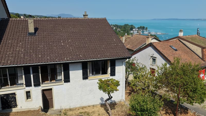 MAISON VILLAGEOISE A TRANSFORMER, VUE LAC ET CALME ASSURÉ (11)