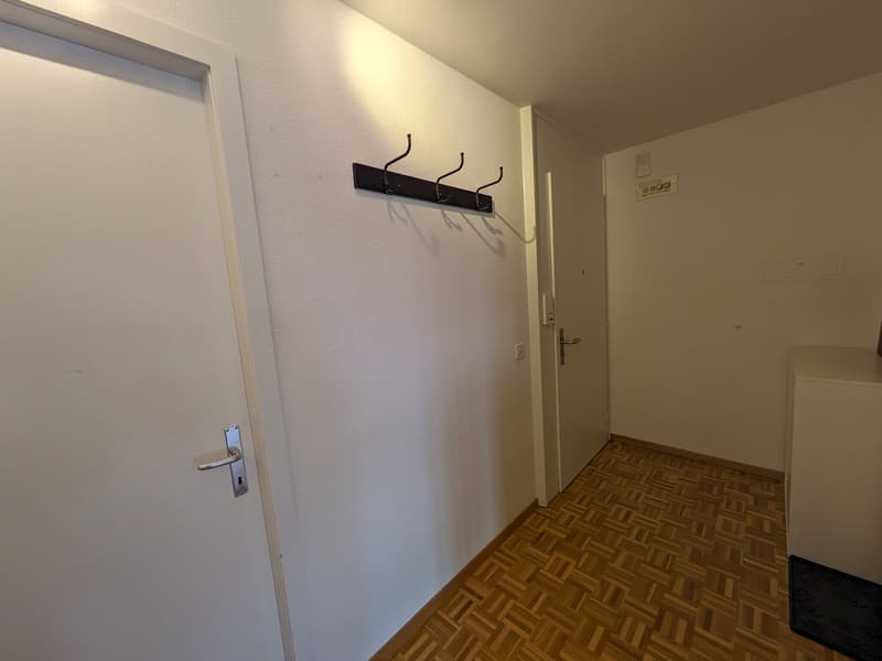 Cozy 3.5-room apartment with balcony (8)