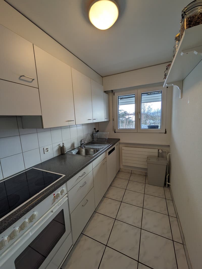 Cozy 3.5-room apartment with balcony (3)