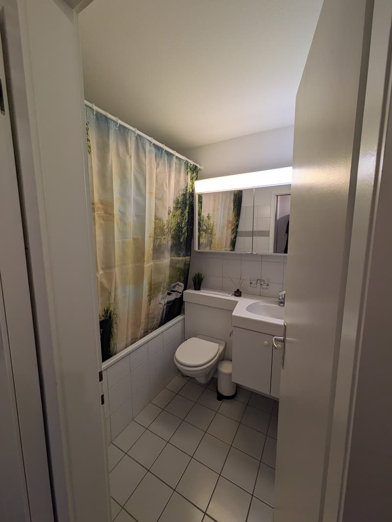 Cozy 3.5-room apartment with balcony (7)