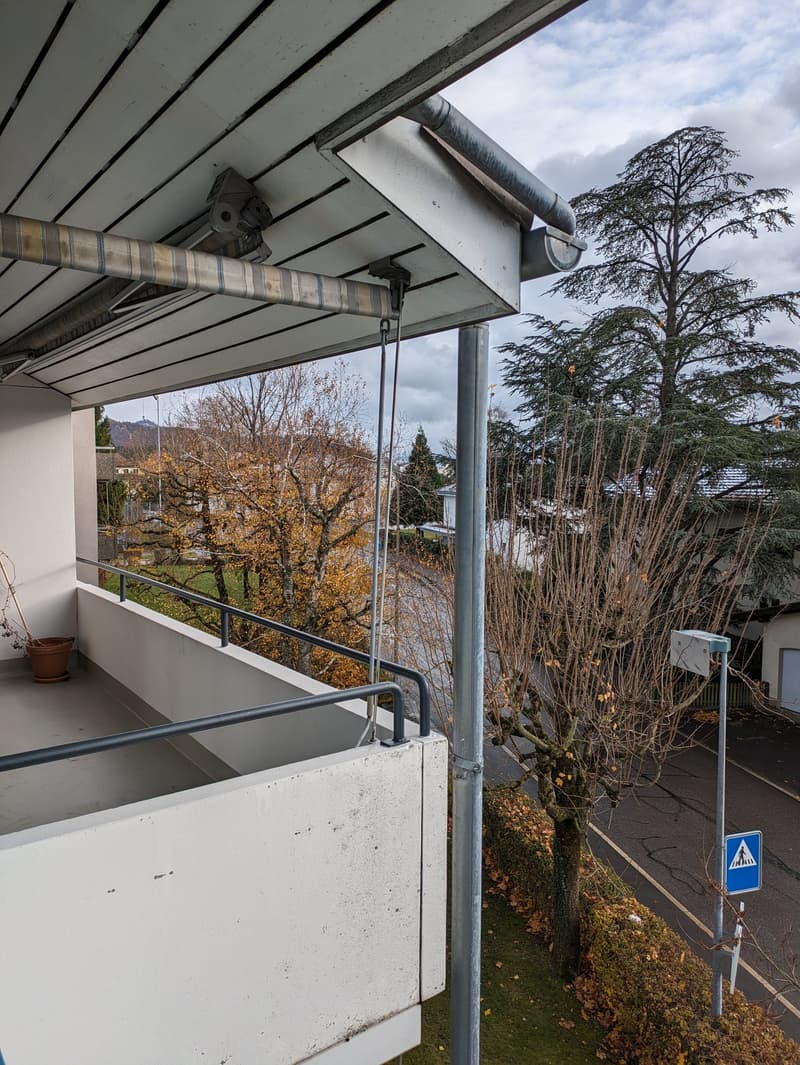 Cozy 3.5-room apartment with balcony (9)