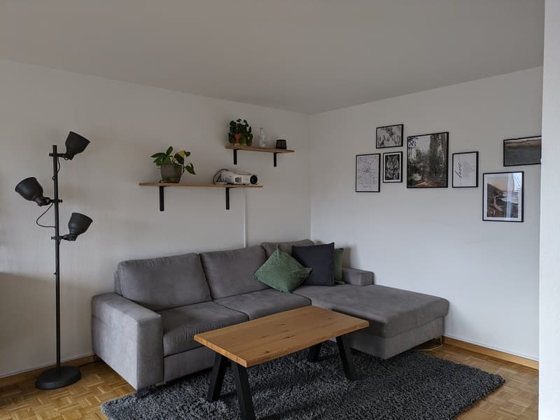 Cozy 3.5-room apartment with balcony (2)