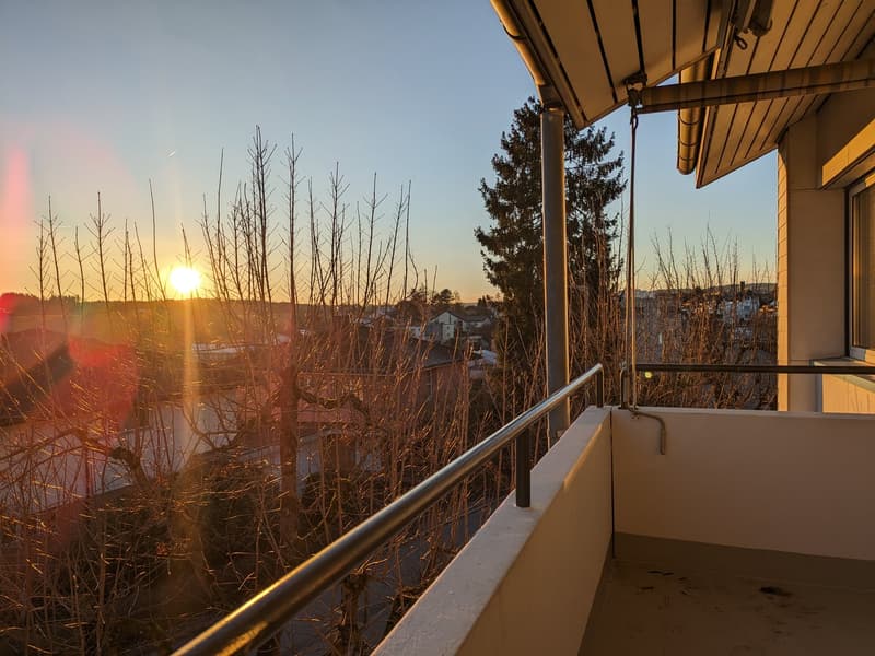 Cozy 3.5-room apartment with balcony (10)