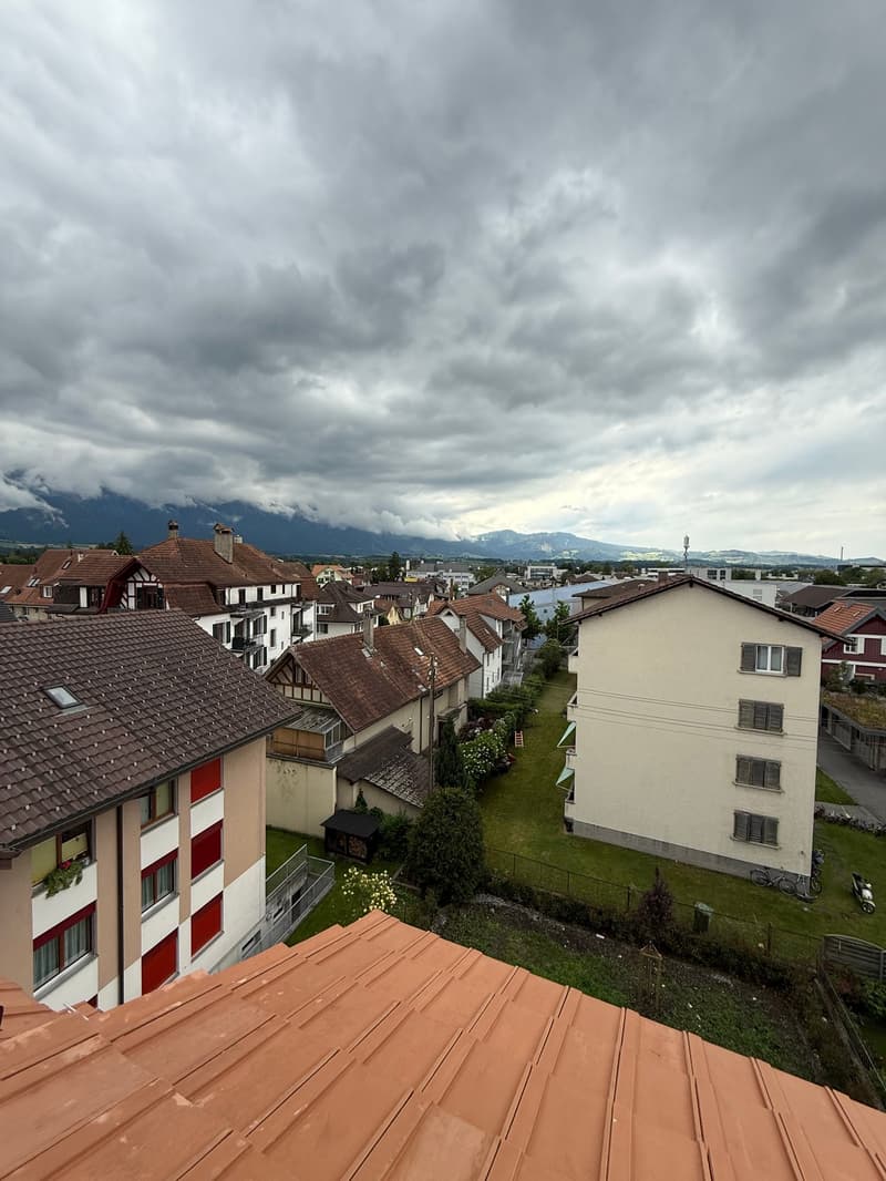 The image shows a view of a residential neighborhood with a mix of traditional and modern buildings. The rooftops are covered in red tiles, and the buildings have a mix of styles, including some with half-timbered facades. The scene is set against a backd