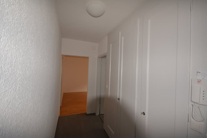 Incantevole appartamento di 2 camere in un edificio storico con balcone, in posizione centralissima a Berna (12)