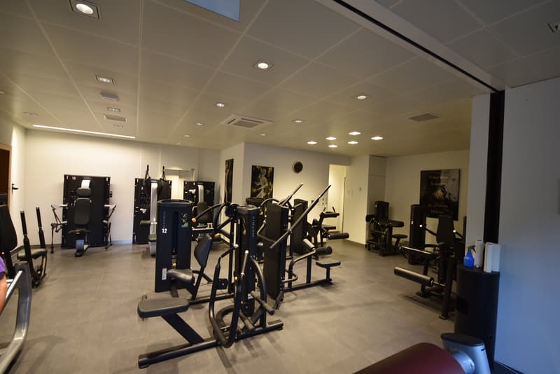 155m2, 290.-/m2/Jahr (24)