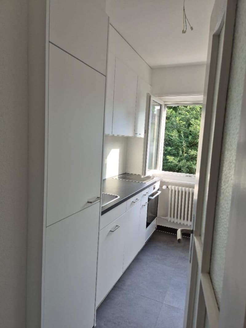 Charmante 3-Zimmer-Dachwohnung in Bern-Bümpliz – sofort verfügbar (13)