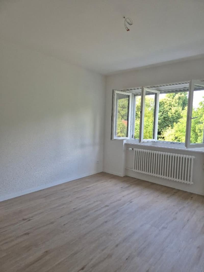 Charmante 3-Zimmer-Dachwohnung in Bern-Bümpliz – sofort verfügbar (3)