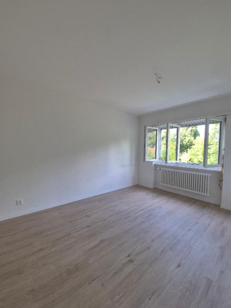 Charmante 3-Zimmer-Dachwohnung in Bern-Bümpliz – sofort verfügbar (8)