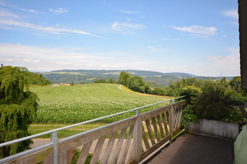 Charmante 4.5-Zimmer-Dachwohnung Heggidorn – Ruhige Lage mit herrlichem Ausblick (29)