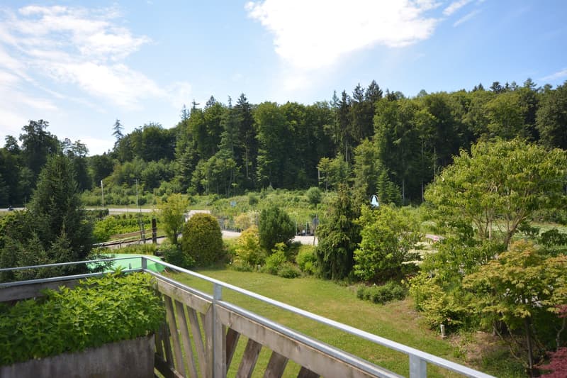 Charmante 4.5-Zimmer-Dachwohnung Heggidorn – Ruhige Lage mit herrlichem Ausblick (30)