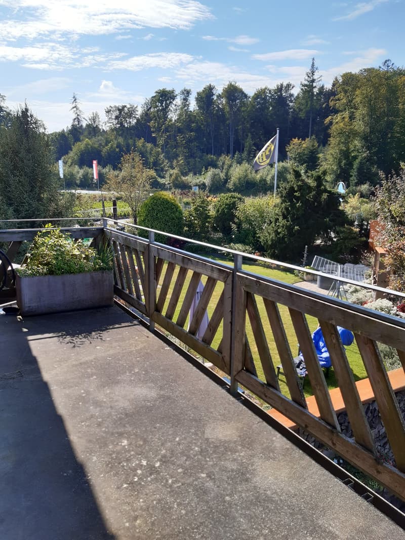 Charmante 4.5-Zimmer-Dachwohnung Heggidorn – Ruhige Lage mit herrlichem Ausblick (33)