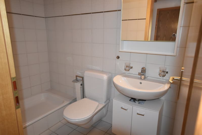 Charmante 4.5-Zimmer-Dachwohnung Heggidorn – Ruhige Lage mit herrlichem Ausblick (11)