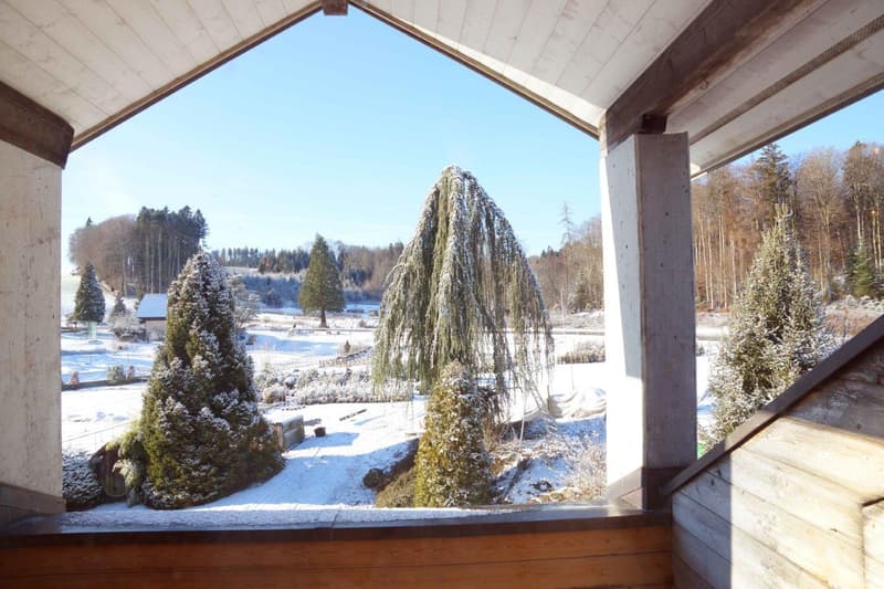 Charmante 4.5-Zimmer-Dachwohnung Heggidorn – Ruhige Lage mit herrlichem Ausblick (4)