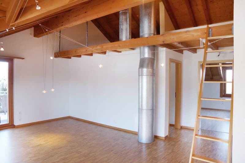 Charmante 4.5-Zimmer-Dachwohnung Heggidorn – Ruhige Lage mit herrlichem Ausblick (42)