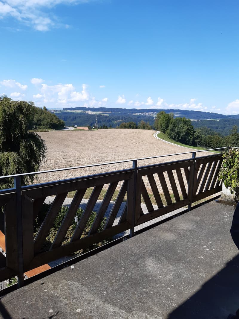 Charmante 4.5-Zimmer-Dachwohnung Heggidorn – Ruhige Lage mit herrlichem Ausblick (34)