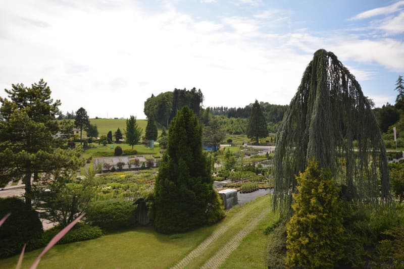 Charmante 4.5-Zimmer-Dachwohnung Heggidorn – Ruhige Lage mit herrlichem Ausblick (28)