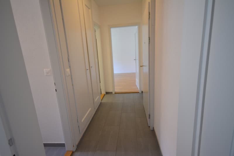 hübsche 2-Zimmer-Single-Wohnung im Breitsch mit viel Cachet (9)