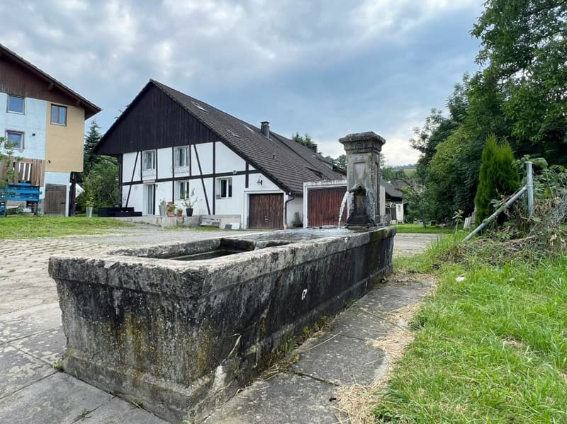 Brunnen mit Wasser von eigener Quelle