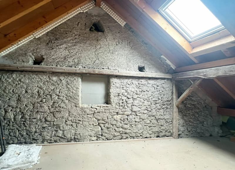 Bijou avec appartement terminé et aménagé (23)
