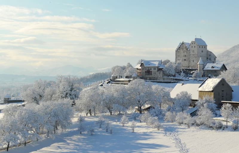 Schloss Wildegg im Winter