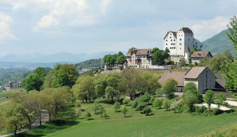 Schloss Wildegg