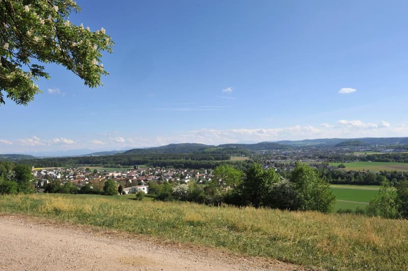 Sicht über Möriken und Lenzburg bis in die Alpen