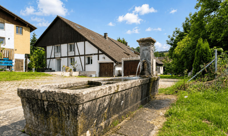 Ansicht mit Quellbrunnen