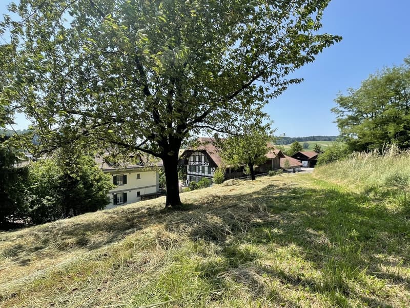Berner Country Estate - REHHAG (18)