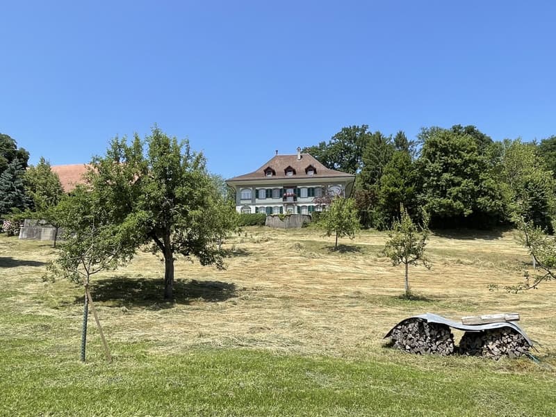 Berner Country Estate - REHHAG (19)