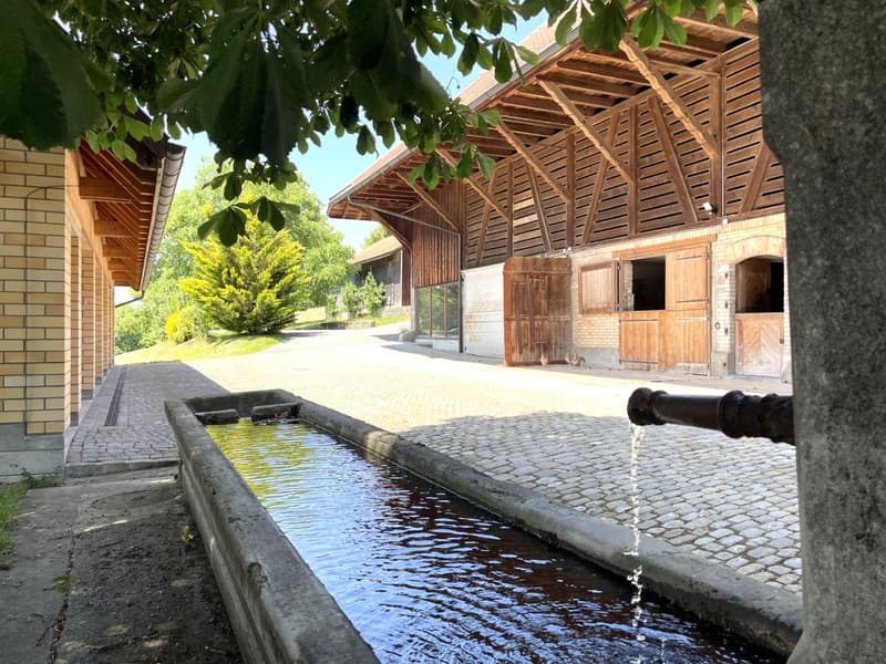 Berner Country Estate - REHHAG (15)