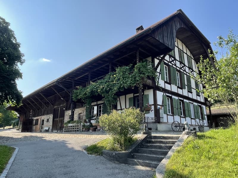 Berner Country Estate - REHHAG (12)