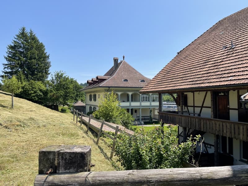 Berner Country Estate - REHHAG (14)