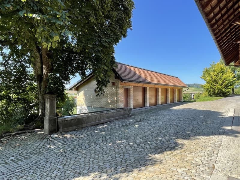 Berner Country Estate - REHHAG (17)