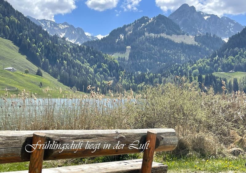 Sommer- & Winterhaus "Seeblick" (3)