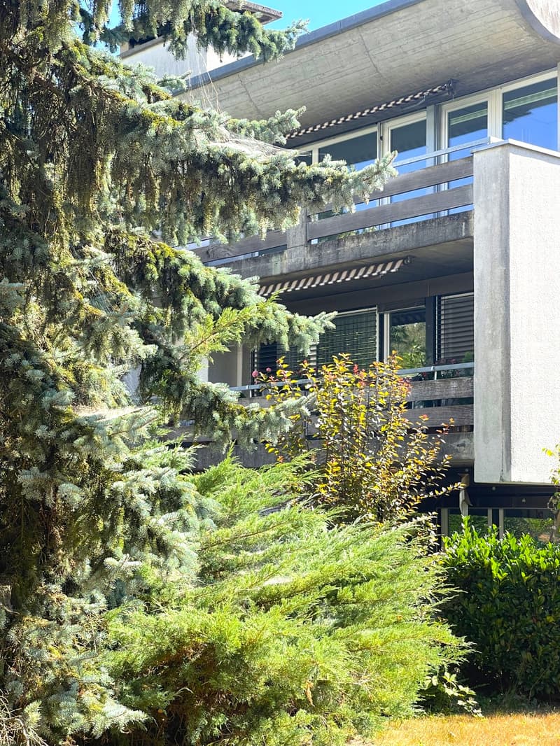 Schöner Grundriss & grosser gedeckter Balkon (1)